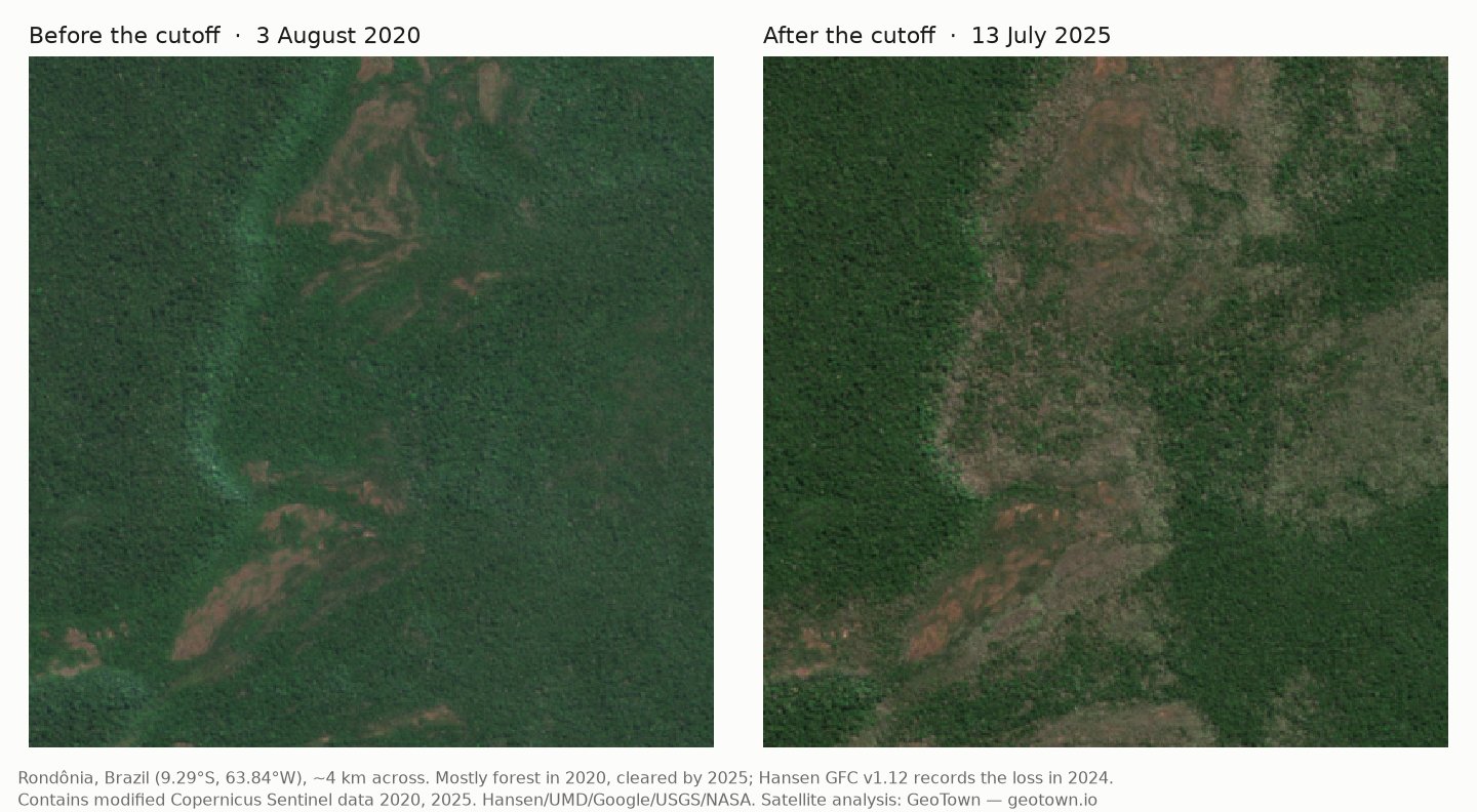 Two Sentinel-2 images of the same 4 km area in Rondônia, Brazil: mostly forest in August 2020, large cleared areas by July 2025